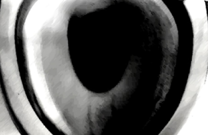 写真画像解析（モノクロ解析実施写真）