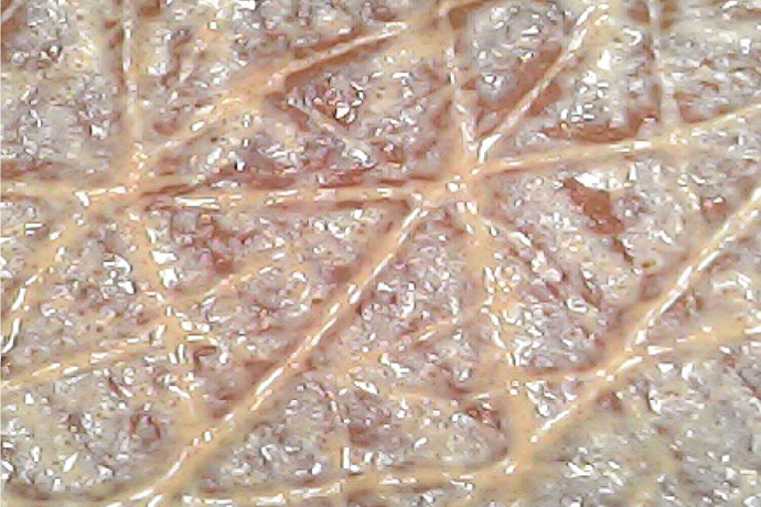 ファンデーションを塗布した肌（水道水洗浄前）